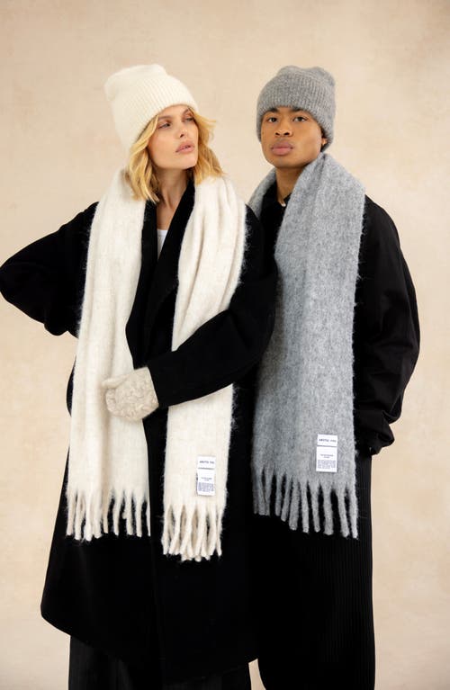 Arctic Fox & Co. Arctic Fox & Co The Alpaca Blend Beanie In Gray