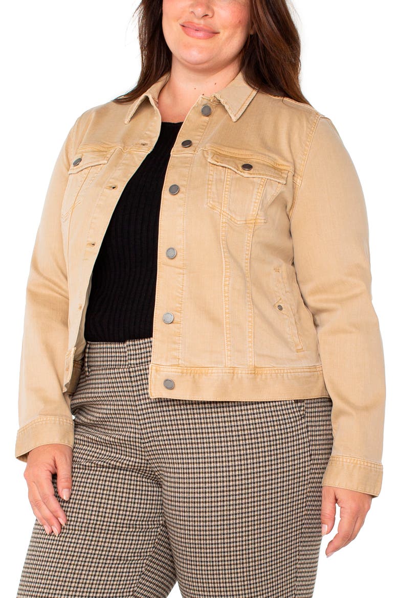 Classic Denim Jacket, Main, color, HAYSEED TAN