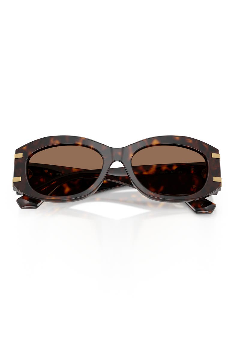 55mm Oval Sunglasses, Alternate, color, HAVANA / DARK BROWN