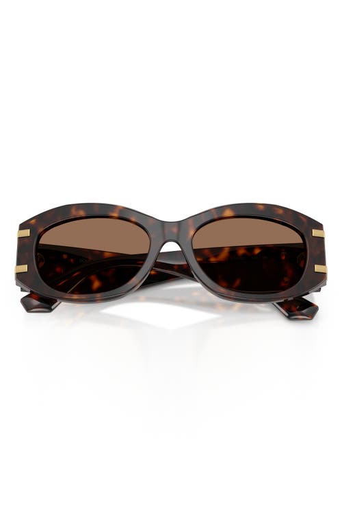 Dolce & Gabbana Dg Logo-plaque Sunglasses In Havana/dark Brown