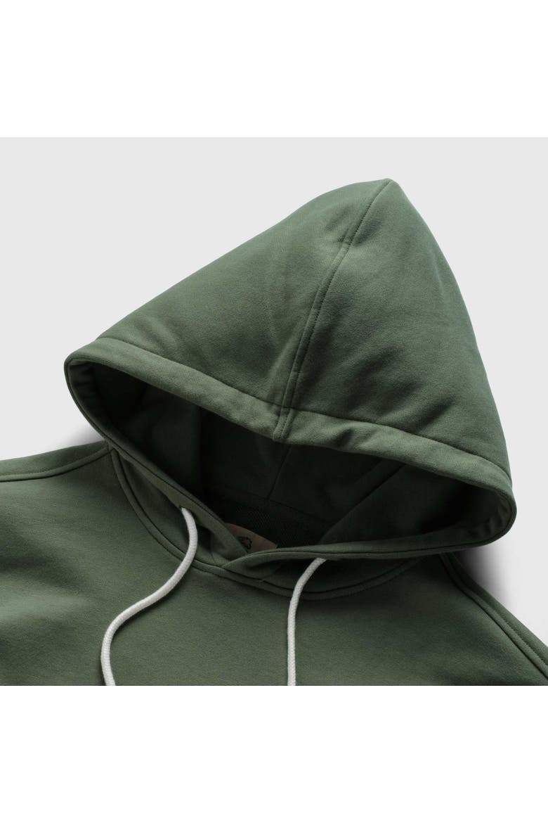 Marine French Terry Hoodie, Alternate, color, agave green