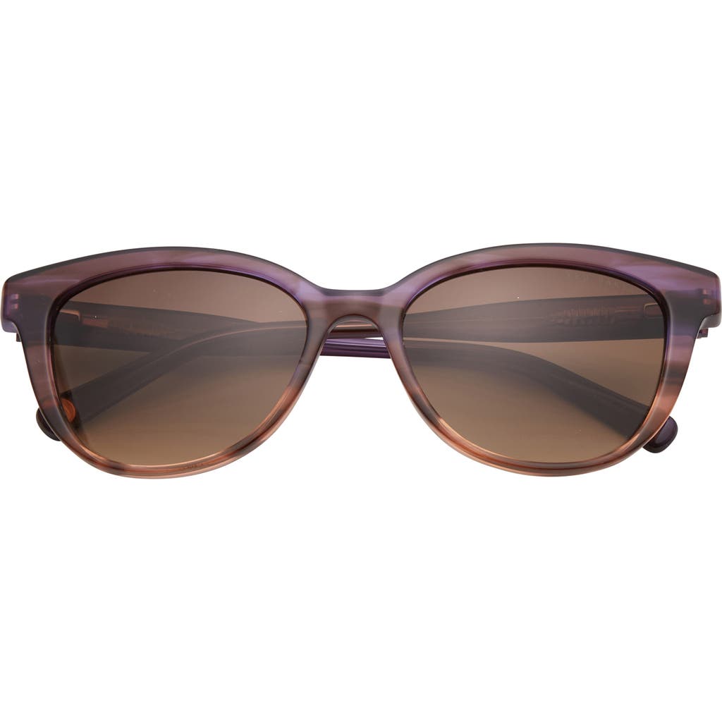 Ted Baker 54mm Cat Eye Sunglasses In Brown