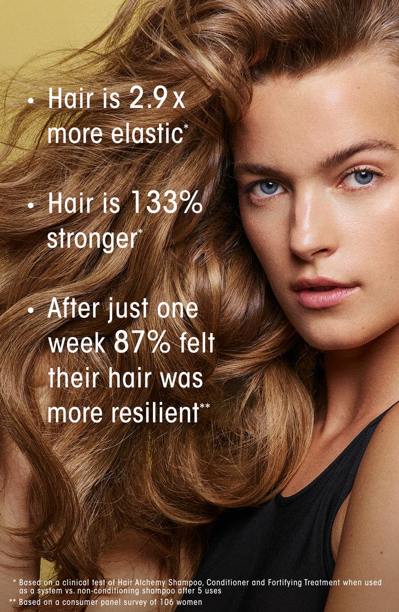 Hair Alchemy Resilience Conditioner
