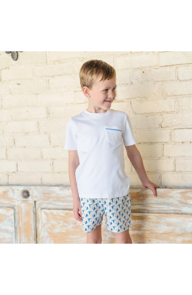 Lila and Hayes Hudson Boys' Short Set, Alternate, color, Mallard Ducks