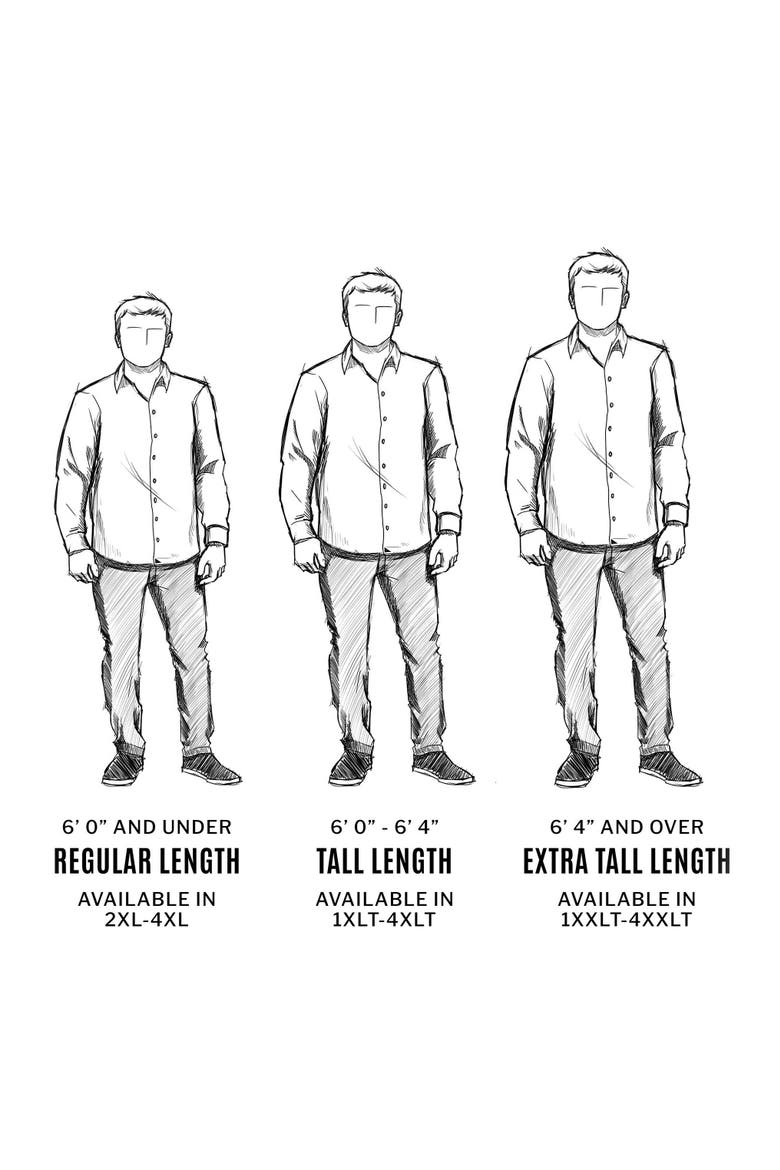 Big & Tall Las Cases Sport Shirt, Alternate, color, WHITE