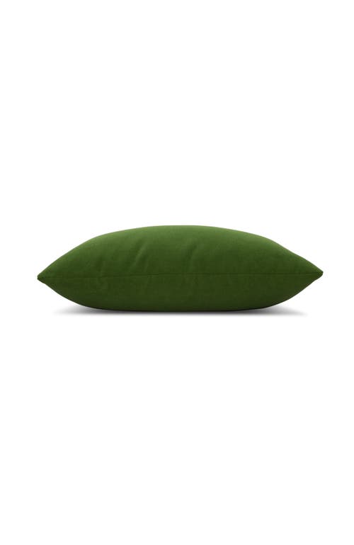 Elaine Smith Plush Velvet Indoor & Outdoor Woven Accent Pillow