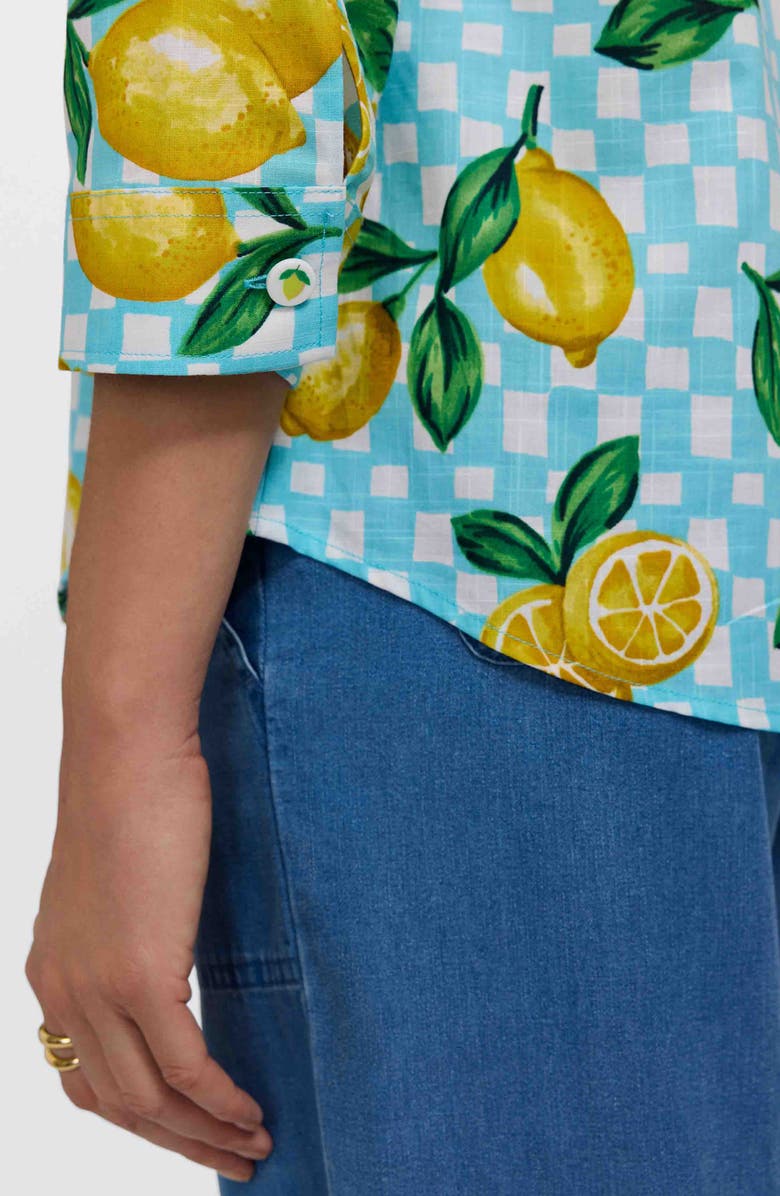 Foxcroft Hampton Riv Print Cotton Button-Up Shirt, Alternate, color, 