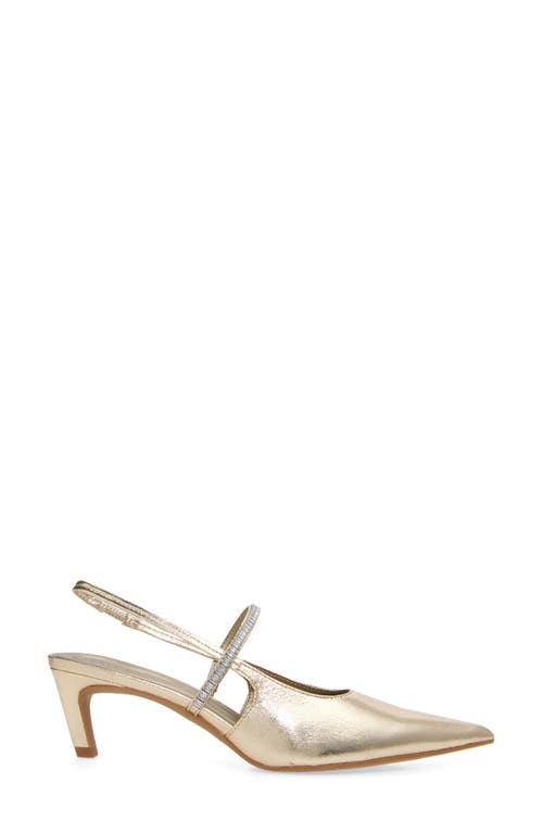 Open Edit Sophia Pointed Toe Slingback Pump