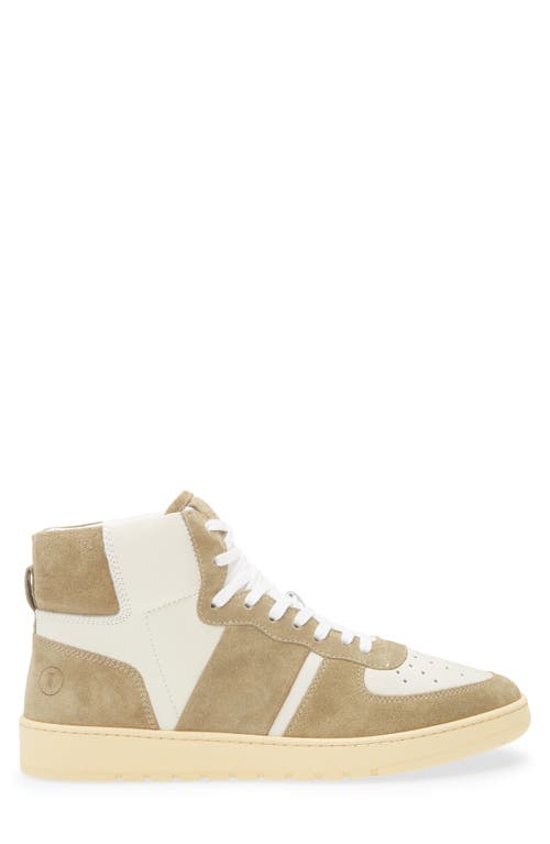 Collegium Pillar Destroyer High Top Sneaker In Green