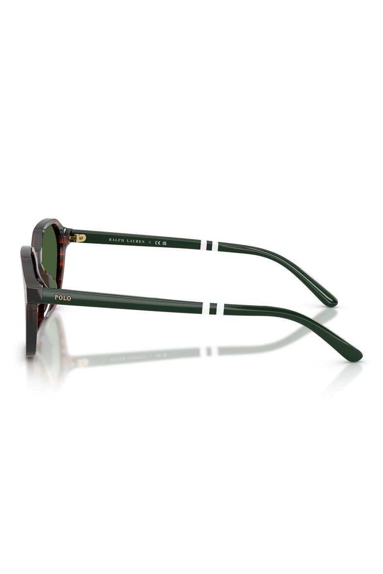 54mm Irregular Sunglasses, Alternate, color, SHINY STRIPED BROWN / GREEN