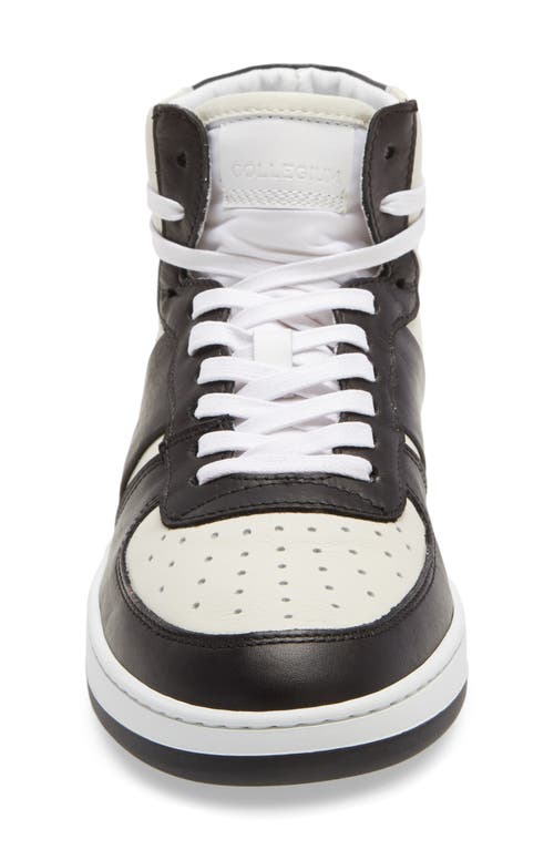 Collegium Pillar Destroyer High Top Sneaker In Multi