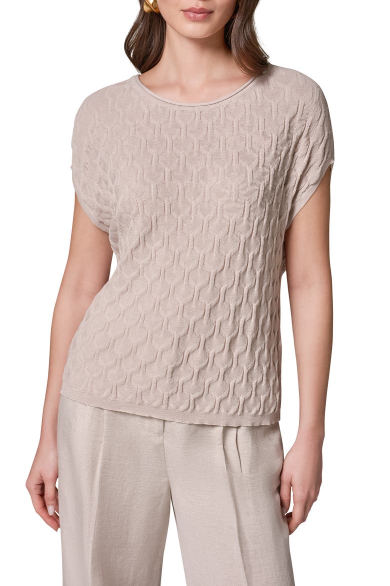 Texture Short Sleeve Sweater, Main, color, SISAL