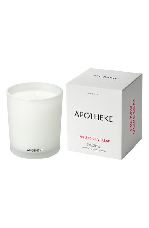 APOTHEKE Fig & Olive Leaf Classic Scented Candle at Nordstrom