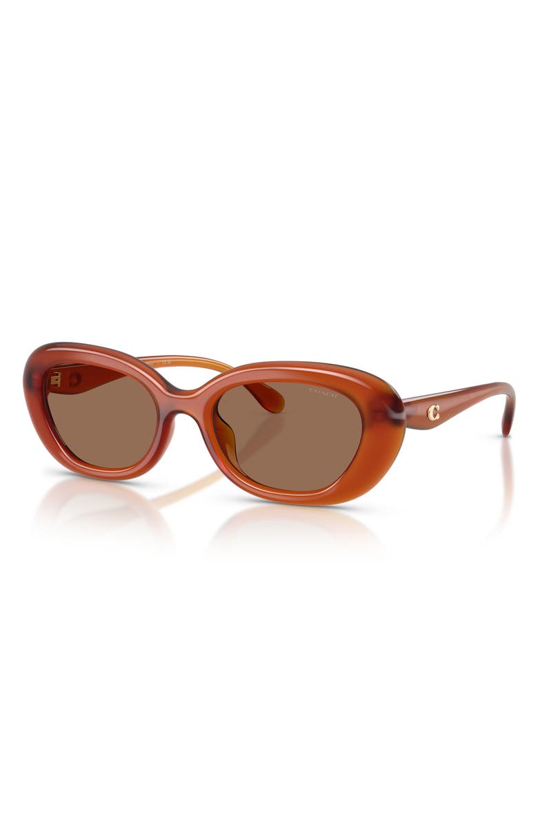 COACH 54mm Oval Sunglasses, Alternate, color, Milky Amber / Wine Solid