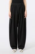 SPORTMAX Zorro Virgin Wool Wide Leg Pants