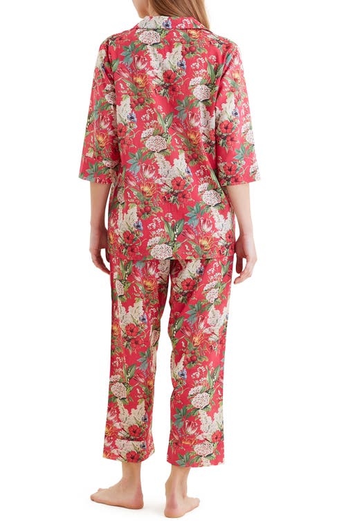 Papinelle Clara Print Crop Cotton Pajamas In Red