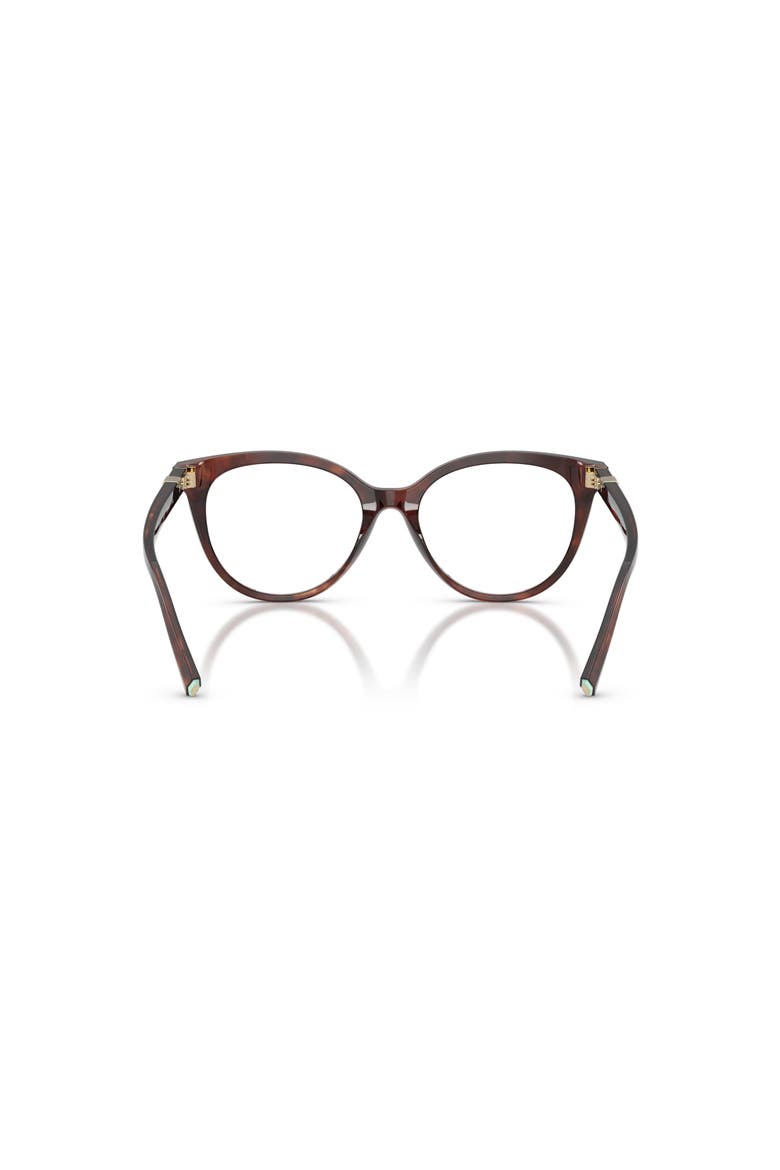 53mm Cat Eye optical glasses, Alternate, color, Brown