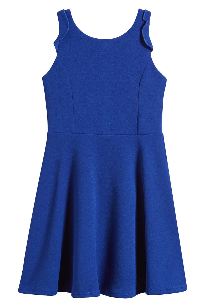 Kids' Ruffle Sleeveless Skater Dress, Main, color, ROYAL