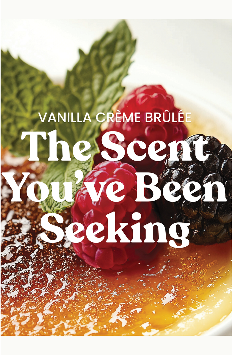 YANKEE CANDLE Vanilla Creme Brulee Studio Candle with Essential Oils, Set of 2, Alternate, color, Light Brown