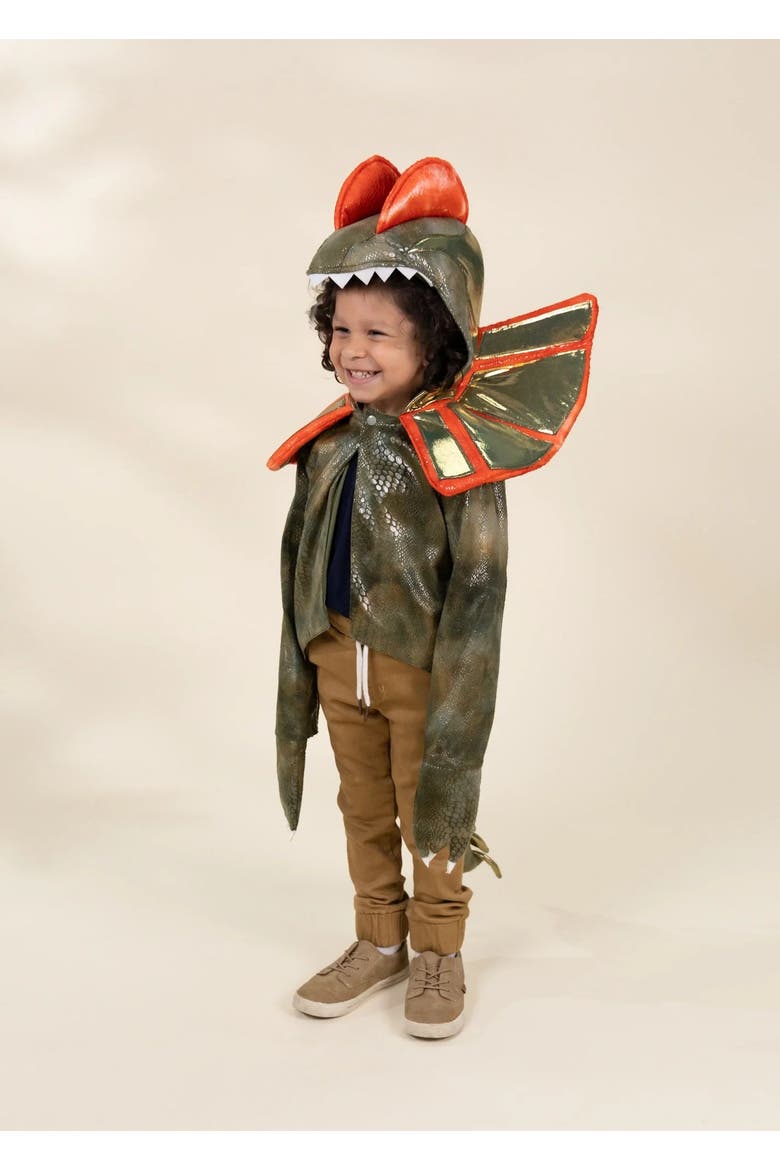 Dinosaur Play Costume Cape, Alternate, color, Brown