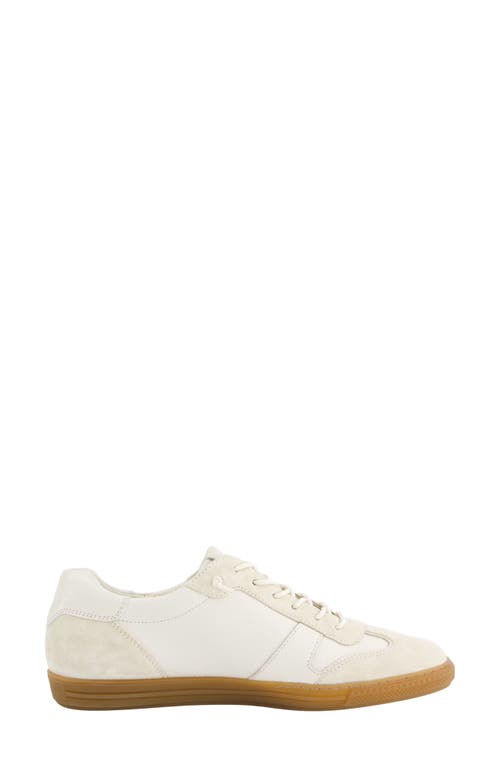 Paul Green Alison Sneaker In Ivory Soft Suede Leather