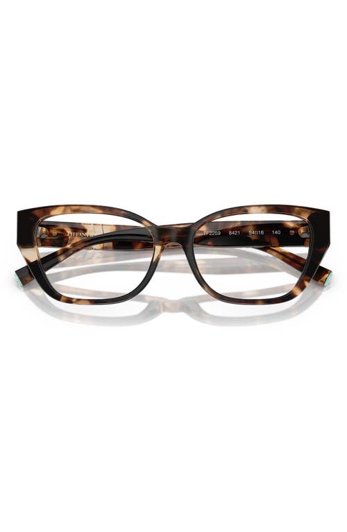 Tiffany & Co . 54mm Cat Eye Optical Glasses In Brown Havana
