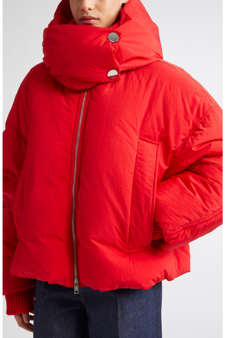 Glizia Down Puffer Jacket, Alternate, color, RED