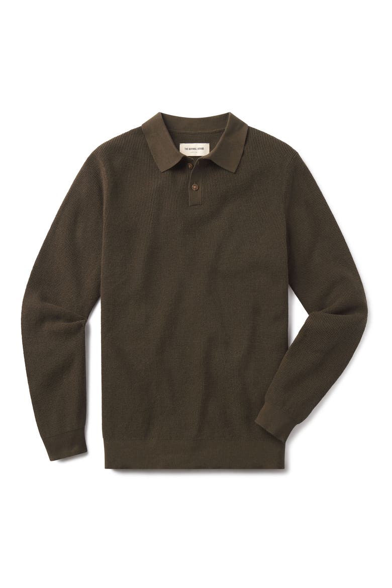 Robles Long Sleeve Waffle Cotton Polo Sweater, Alternate, color, ALPINE