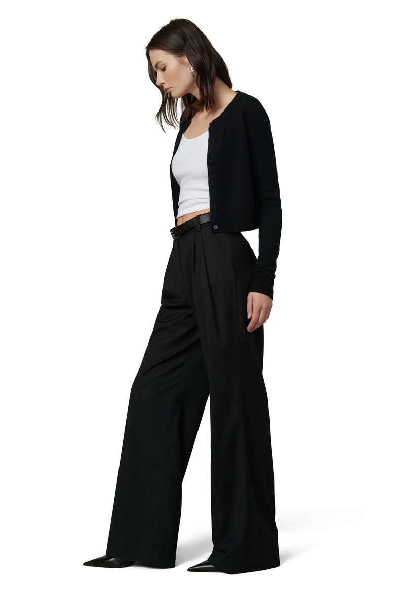 The Dani Pleated Wide Leg Pants, Alternate, color, BLACK
