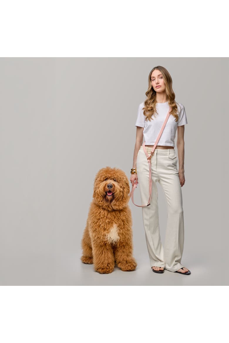 Metro Hands Free Leash Blush, Alternate, color, Blush - Medium