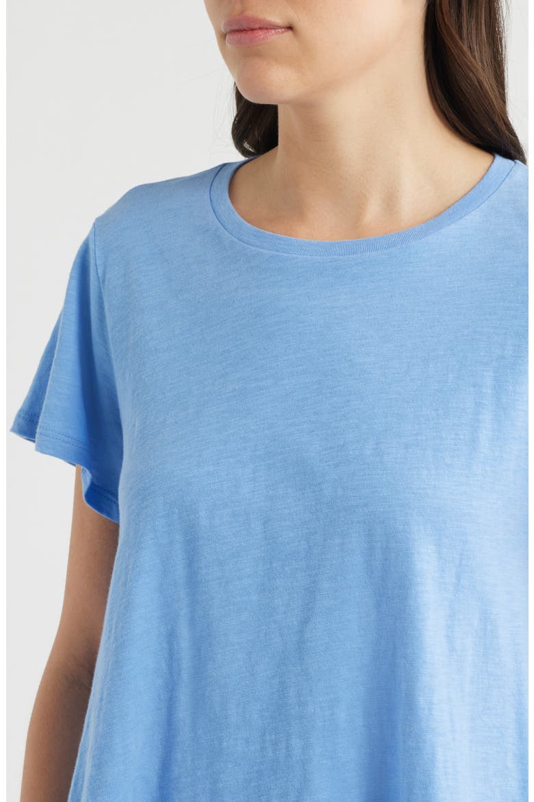Crewneck Organic Cotton T-Shirt, Alternate, color, CORNFLOWER