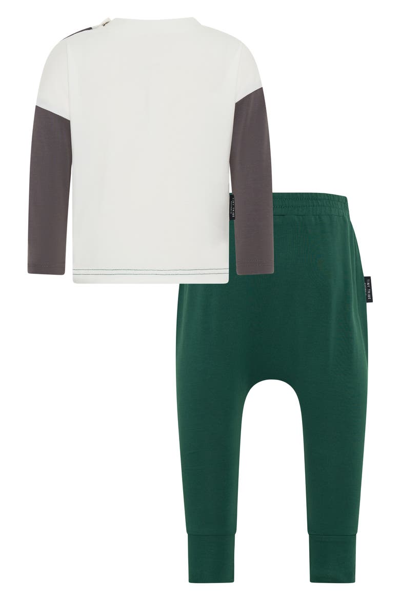 Colorblock Long Sleeve Cotton T-Shirt & Leggings Set, Alternate, color, GREEN MULTI