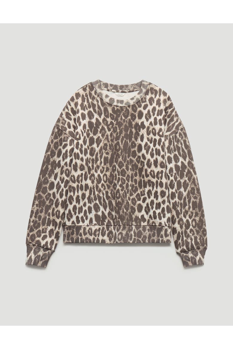 Astra Leopard Print Cotton Sweatshirt, Alternate, color, Trans Neutral Leopard Print
