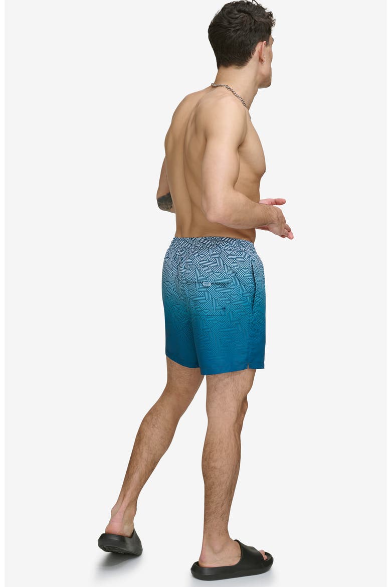 Ombré Crosswalk Swim Trunks, Alternate, color, POSEIDON