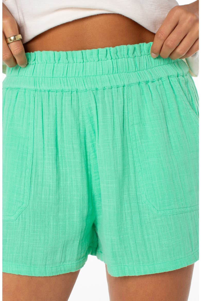 So Swell Crinkle Shorts, Alternate, color, SPRING BUD