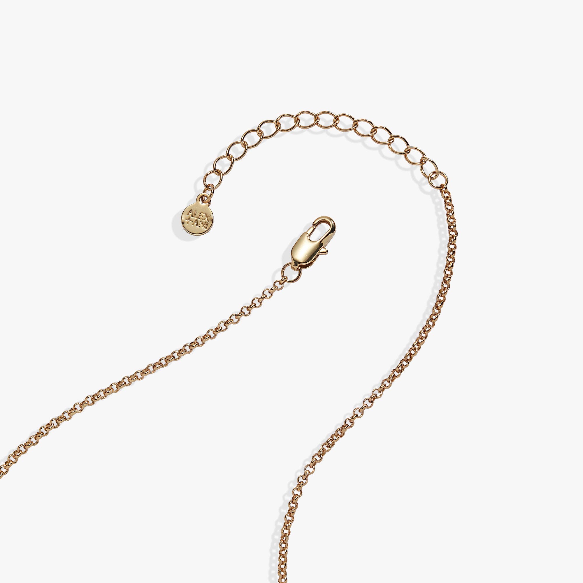 Alex and Ani Hedgehog Slider Necklace (Women) | Nordstrom