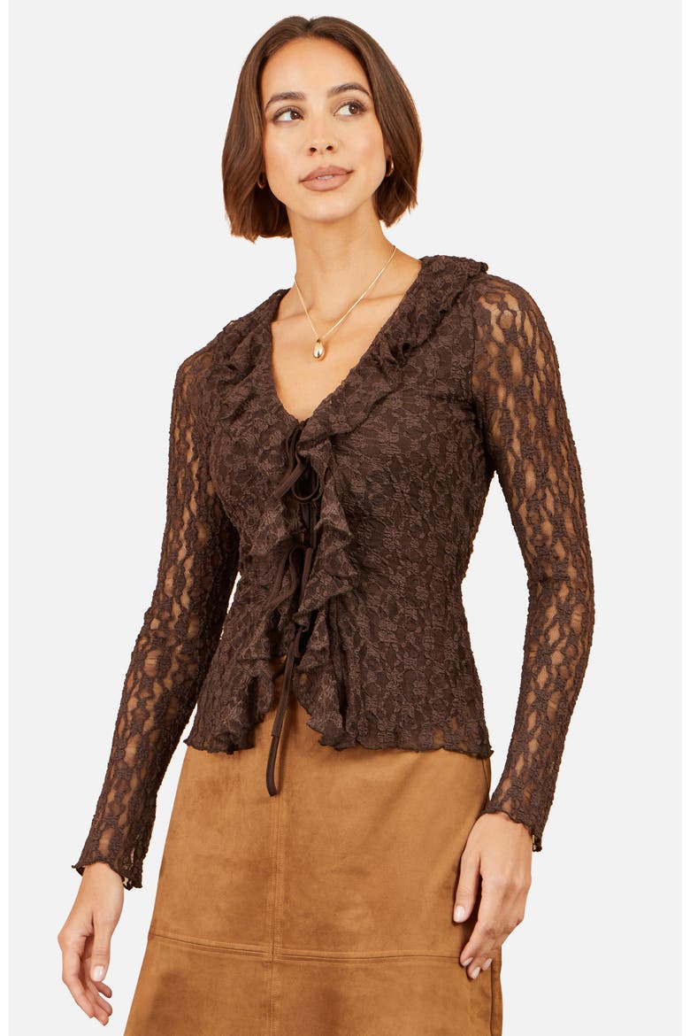 Sheer Long Sleeve Ruffle Lace Top, Main, color, Brown