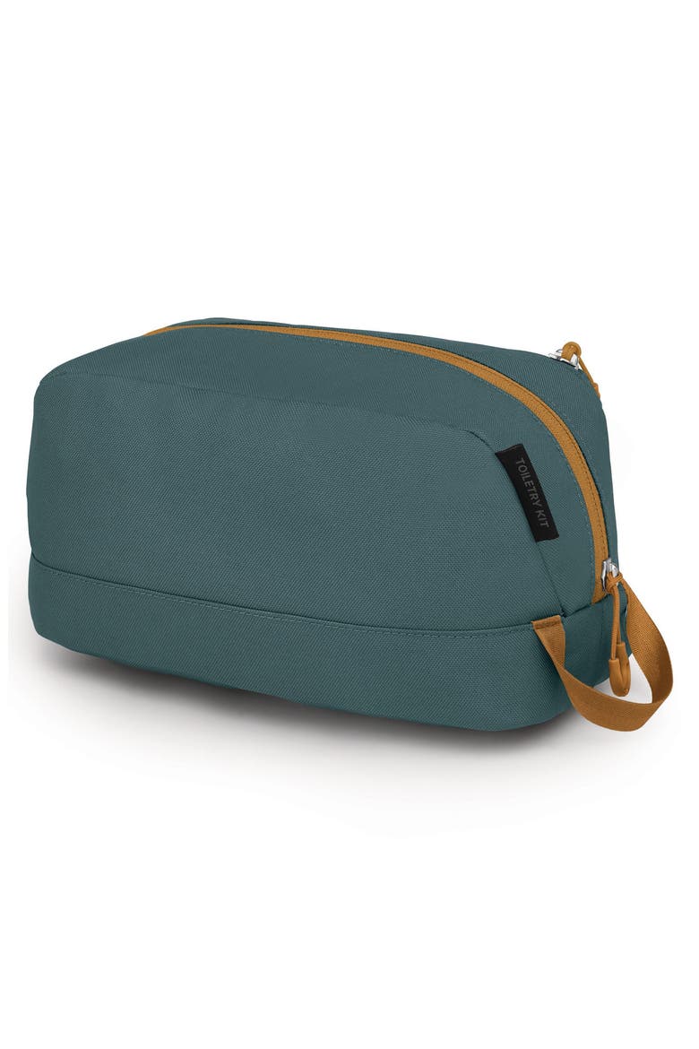 Daylite Toiletry Kit, Alternate, color, TORRENT BLUE-BARLEY BROWN