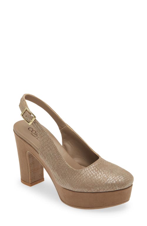 Cordani Torrie Platform Slingback Pump in Champagne/fango 