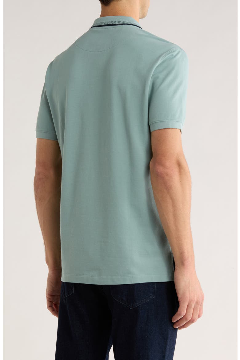 Gowerville Tipped Polo, Alternate, color, PISTACHIO
