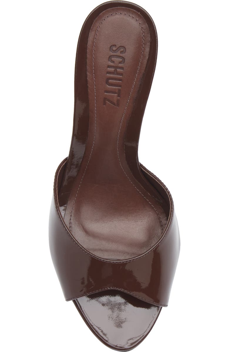 Schutz Cloe Slide Sandal, Alternate, color, Root Brown