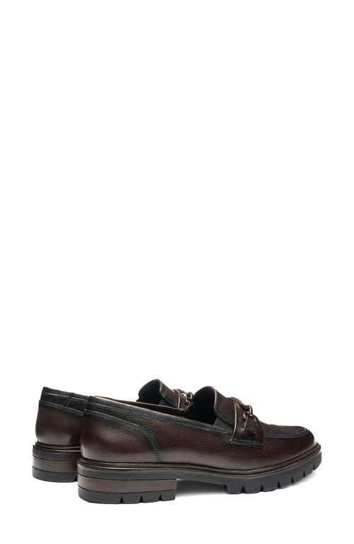 Ara Camellia Lug Sole Bit Loafer In Brown