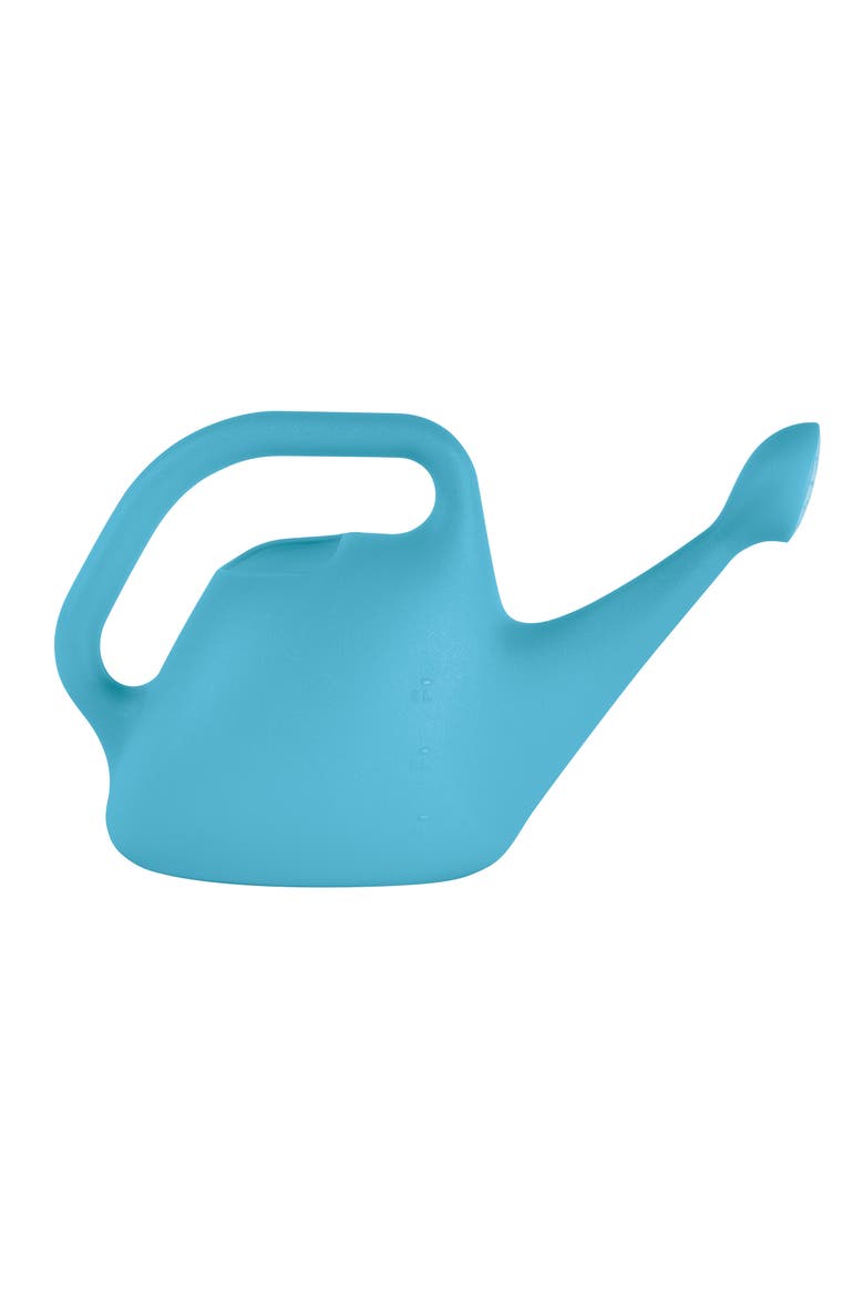 Bluebonnet Translucent 1 Gallon Watering Can, Main, color, Blue