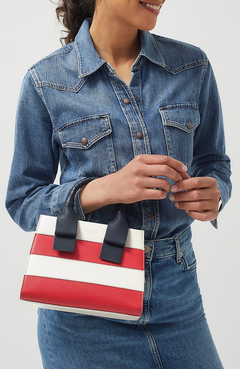 Radley Finch Lane Leather Stripe Tote Bag, Alternate, color,