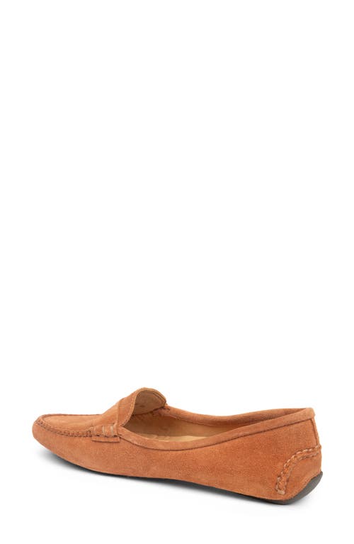 Patricia Green Janet Scalloped Driving Loafer In Brown