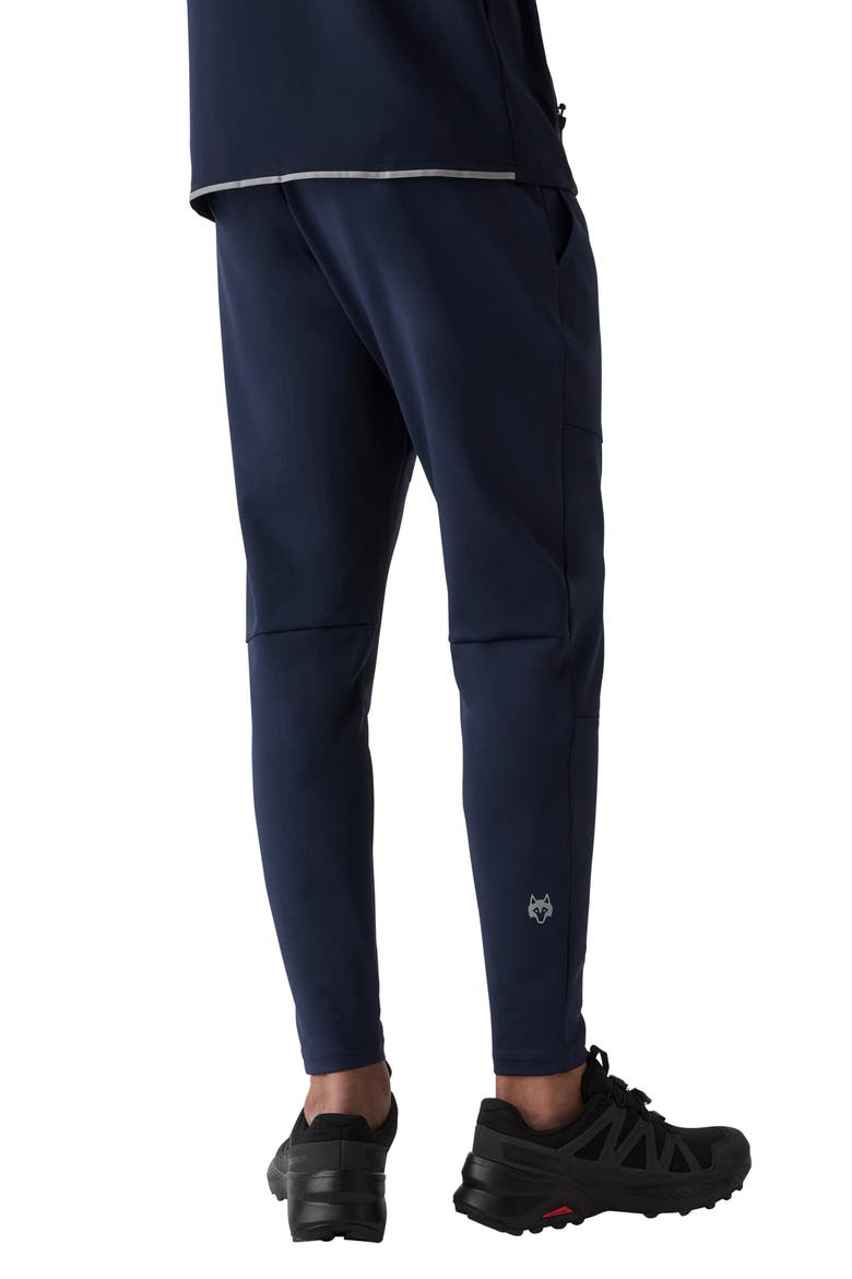 Sequoia Stretch Nylon & Cotton Blend Joggers, Alternate, color, MALTESE BLUE