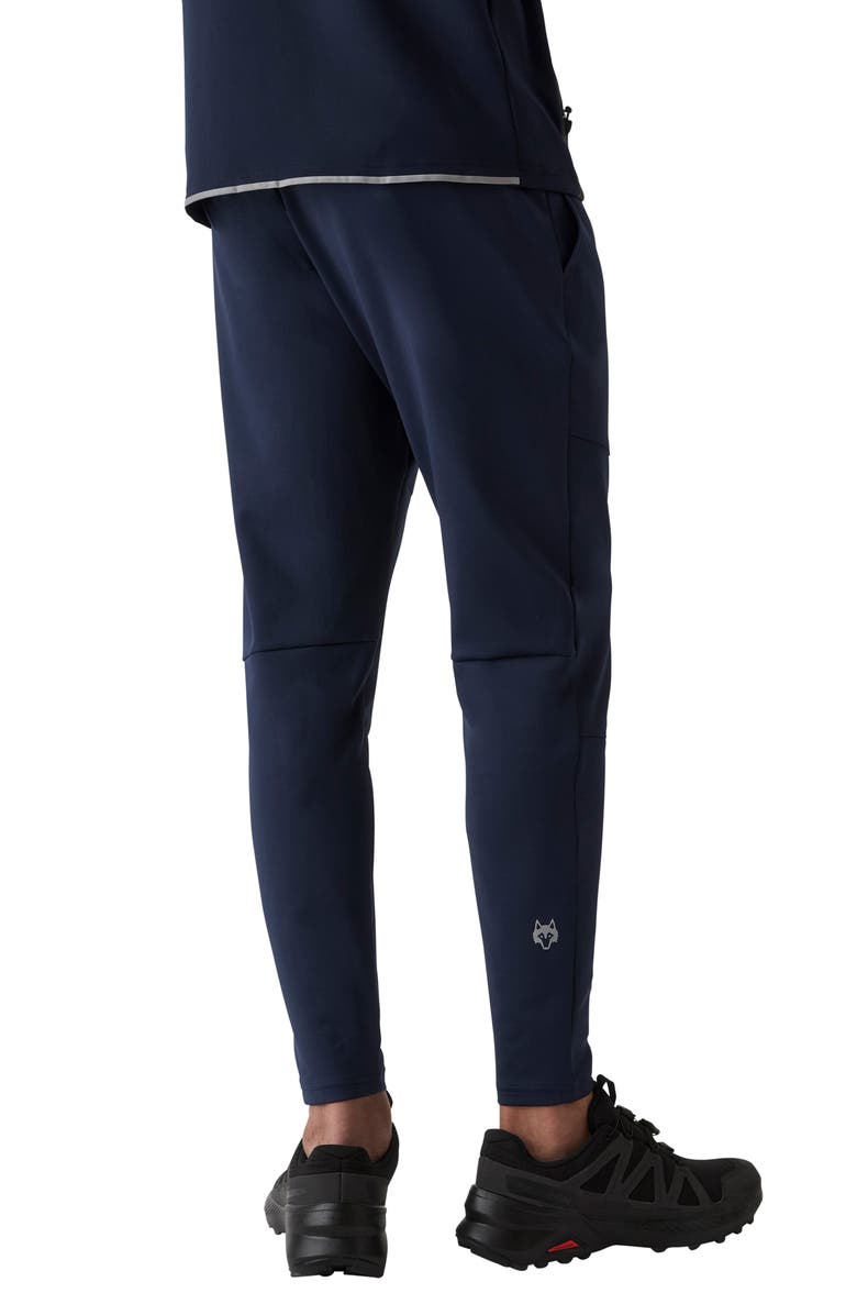 Greyson Sequoia Stretch Nylon & Cotton Blend Joggers, Alternate, color, Maltese Blue