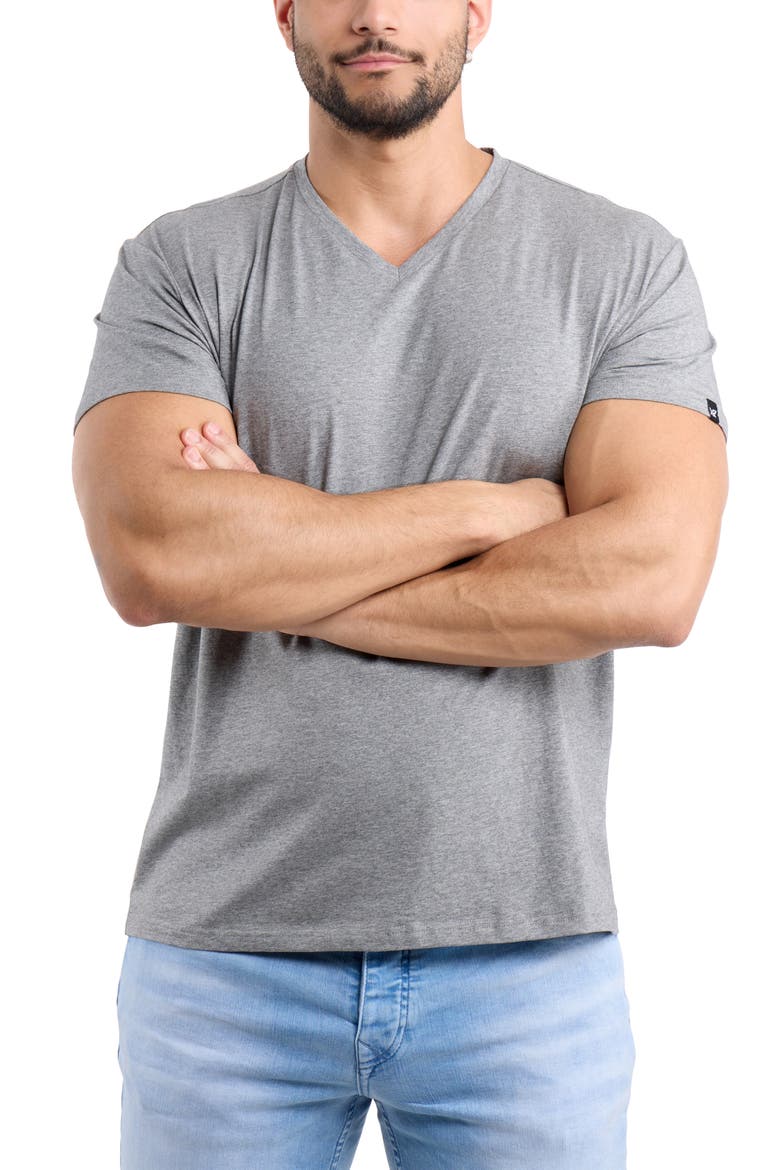 V-Neck Flex T-Shirt, Alternate, color, OATMEAL