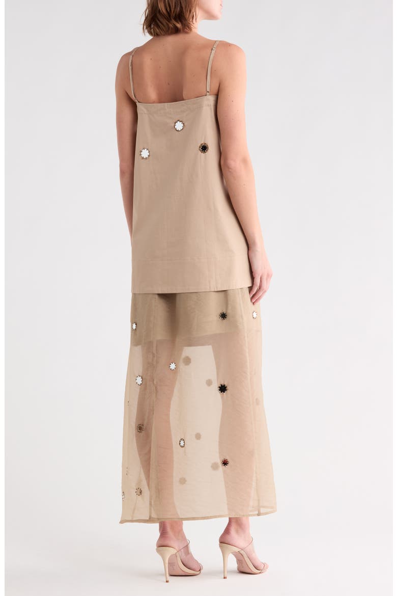 Through the Looking Glass Maxi Dress, Alternate, color, BEIGE