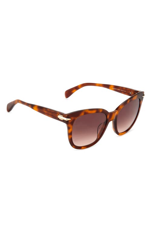 Rag & Bone 55mm Square Sunglasses In Havana
